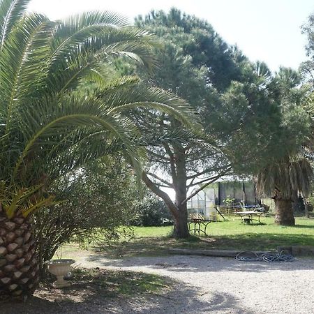 Вилла Mas Du Roc Saint-Nazaire  Экстерьер фото